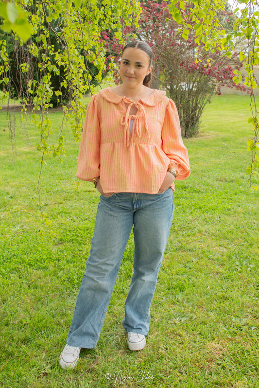 La Blouse Nice